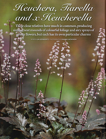 Gardens Illustrated May 2015