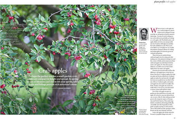 Gardens Illustrated October 2015