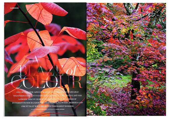 Country Living November 2013
