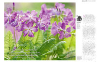 Gardens Illustrated April 2017