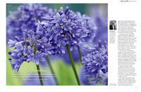 Gardens Illustrated August 2017