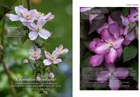 Gardens illustrated Special Edition 2017