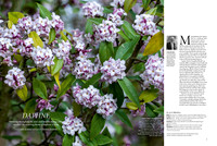 Gardens Illiustrated February 2018