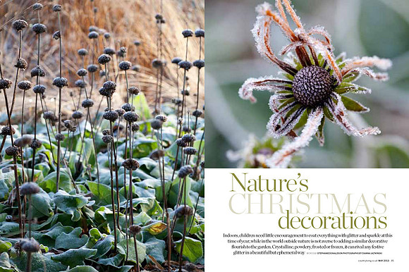 Country Living January 2014