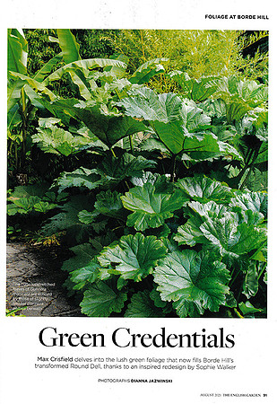 The English Garden August 2021