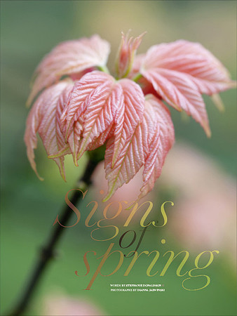 Country Living March 2015