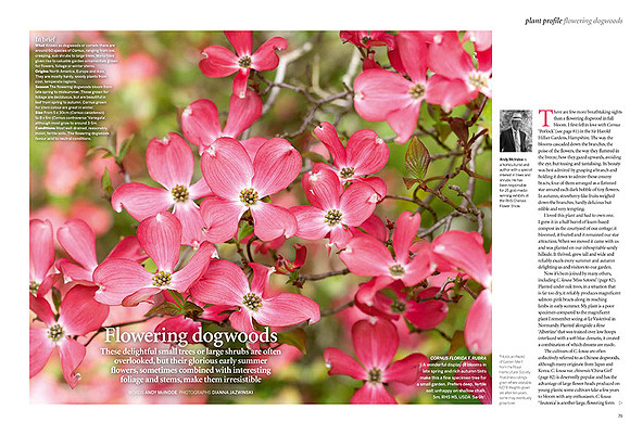 Gardens Illustrated May 2016